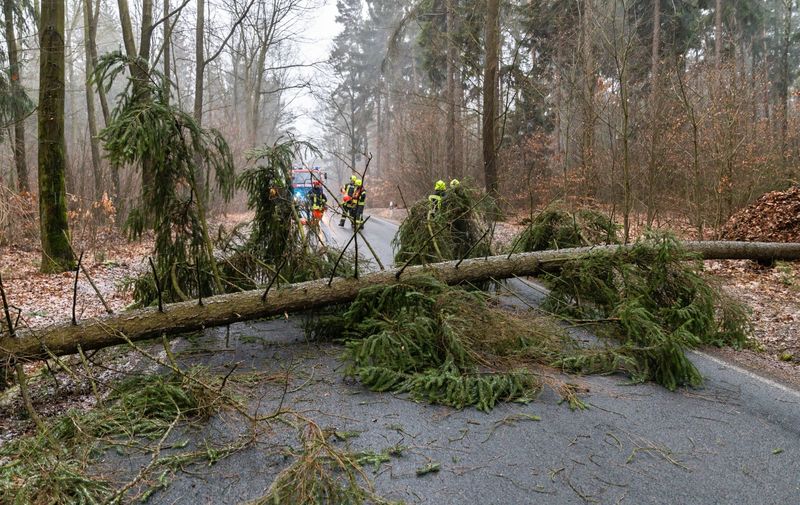 Adobe Stock 322645030