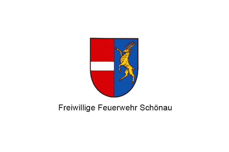 Schönau Partner Logo blanko
